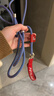 petlimit狗狗牵引绳宠物p链遛狗链子小中大型训犬防爆冲随行一体P绳1.8米  实拍图