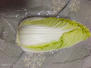 三宝白菜约650g(大娃娃菜) 实拍图