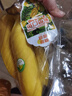 黄胖子进口香蕉650g 实拍图