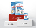 皇家狗粮 幼犬狗粮 宠物 小型犬 MIJ31 全价犬粮 2-10月 2KG 实拍图