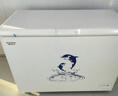 澳柯玛（AUCMA）307升单温冷柜家用减霜大冰柜 冷藏柜冷冻柜转换卧式冰箱雪糕柜一级能效 BC/BD-307HNE 以旧换新 实拍图