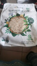 阴山优麦有机裸燕麦片630克 高蛋白 膳食纤维 免煮即食 零添加糖 营养早餐 实拍图