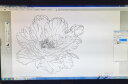 Wacom 和冠 影拓Pro intuosPro数位板手绘板电脑网课手写板绘画板写字板绘图板电子 PTH-660/K1-F(中号增强版) 晒单实拍图