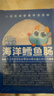 小鹿蓝蓝海洋无污染鳕鱼肠 宝宝儿童零食解馋零食益生元鳕鱼肉肠300g 实拍图