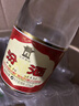 汾酒 黄盖玻汾 清香型高度白酒 53度 475mL*12瓶 整箱装 实拍图