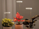 植物补光灯全光谱LED植物生长灯防太阳多肉补光灯种植6W定时调光 白色-太阳光（植物生长）+底座 可调节-高68CM 实拍图