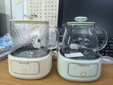 九阳（Joyoung）0胶水净萃全玻璃养生壶 烧水加快40% 炖煮恒温泡茶壶电热水壶办公室1L迷你花茶壶WY104 绿色  实拍图