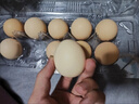 京鲜生可生食标准鲜鸡蛋30枚礼盒装3斤 源头直发 实拍图
