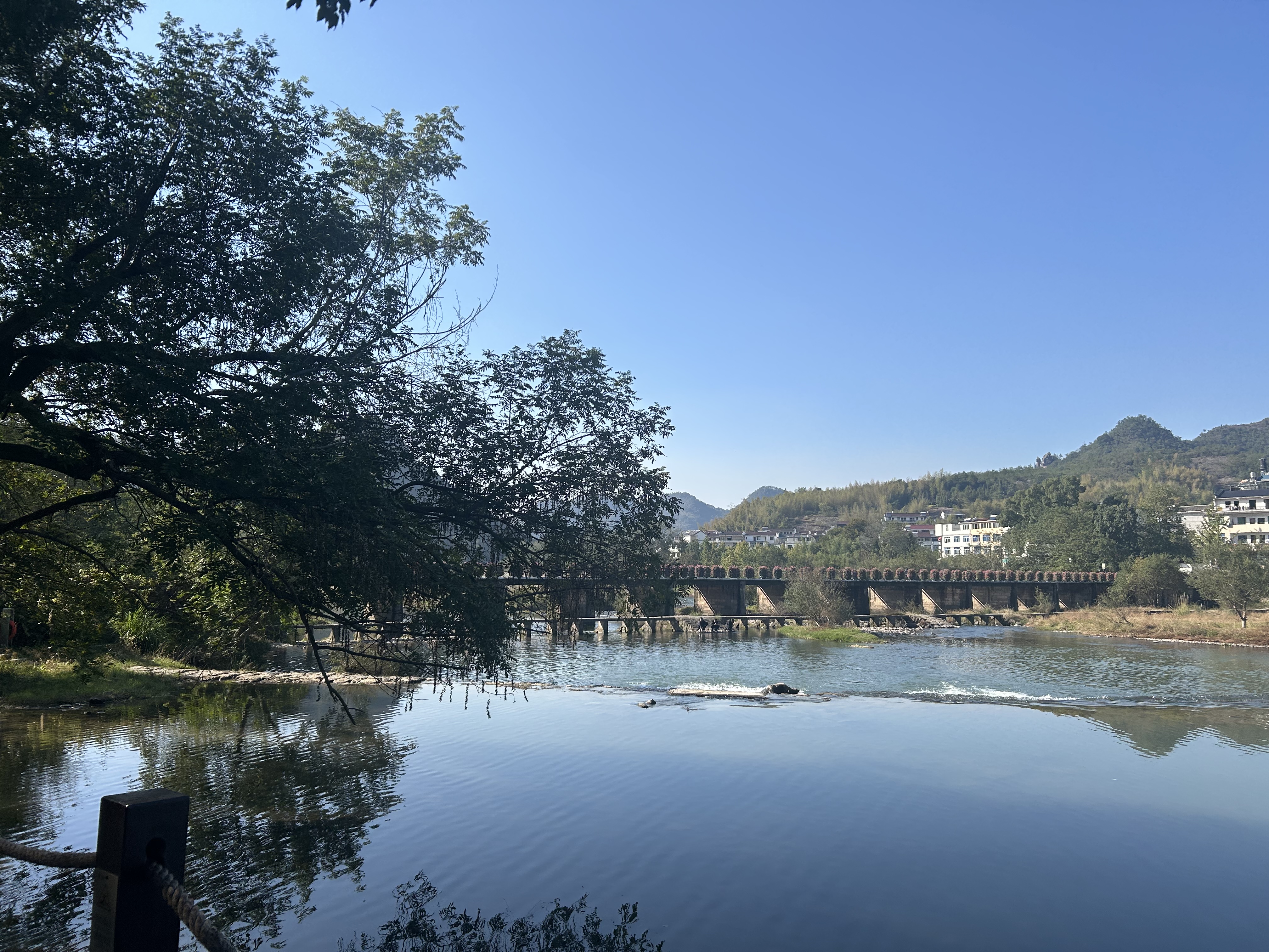 德芙巧克力碗装散装结婚喜糖解馋充饥休闲零食送女友生日小礼品伴手礼 德芙混合多口味巧克力6克散装500g*1 实拍图