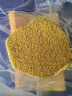 十月稻田 黄小米 2斤 五谷杂粮 低脂粗粮 早餐煮粥 正宗小米饭 米香浓郁 实拍图