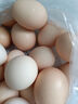 香丹青 林下散养土鸡蛋新鲜农家自养笨鸡蛋食用柴鸡蛋 10枚 实拍图