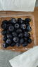 怡颗莓Driscoll's 云南蓝莓大果18mm+12盒装约125g/盒水果春节也送货 实拍图