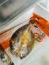 霞浦大黄鱼黄鱼鲞东海大黄鱼黄花鱼活鱼现杀新鲜速冻三去处理 250g*5 实拍图