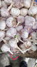 京鲜生河南杞县大蒜带皮新鲜干蒜净重5斤单果4.5-5cm  源头直发 实拍图