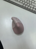 罗技（Logitech）Lift人体工学鼠标 垂直鼠标 小手鼠标 无线蓝牙鼠标 3台设备秒切换 带Logi Bolt接收器 粉色 实拍图