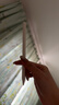 Apple/苹果【教育优惠】Pencil Pro 磁吸触控笔苹果笔电容笔ipad笔 适用于iPad mini/Pro/Air 实拍图