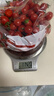 千禧圣女果新鲜小番茄樱桃小柿子孕妇水果现摘现发新鲜蔬菜 新鲜圣女果 5斤 带箱 实拍图