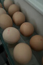 京鲜生可生食标准鲜鸡蛋30枚礼盒装3斤 源头直发 实拍图