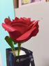 初朵单支玫瑰花永生香皂花束同城配送伴手生日礼物三八妇女神节非鲜花 实拍图