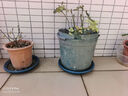 芷郁绿植盆栽托盘垫接水圆形防烂根树脂花盆底座托盘 特厚300型3个 实拍图