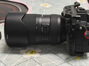腾龙（Tamron）A071S 28-200mm F/2.8-5.6 Di III RXD大光圈远摄大变焦镜头 索尼全画幅微单镜头(索尼全幅E口) 实拍图
