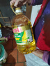 金龙鱼 食用油 非转基因 压榨 一级 纯正玉米油4L（新老包装随机发货） 实拍图