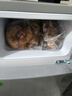 华宝小冰箱小型家用出租房用冷藏冷冻两用一级能效节能省电迷你宿舍寝室办公室二门电冰箱 【店长推荐】48L银色【三天不到一度电】 实拍图