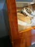 米兰茜（M&Q）摇表器机械表转表器摇摆器转动送男女友老公生日纪念日父亲节礼物 实拍图