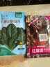 凤鸣雅世红叶甜菜种子四季蔬菜种子阳台庭院盆栽菜籽红甜菜种子10克 实拍图