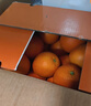 京地达柚子福建黄金葡萄柚西柚甜柚年货水果净重9斤单果250g+源头直发 实拍图