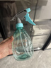 喷壶浇花浇水喷雾器气压式喷水壶家用园艺养花500ml 南瓜喷壶透蓝【1个装】 实拍图
