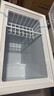 荣事达（Royalstar）小冰柜家用小型冷冻保鲜迷你冷藏商用卧式冷柜单用储母乳柜节能省电 【一级节能 全国联保】单温 228L 实拍图