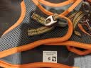 TRUELOVE狗狗牵引绳小型犬狗绳子遛狗绳背心式泰迪柯基宠物用品小狗胸背带 灰桔色 S(胸围36-44cm)建议8-11斤选择 实拍图
