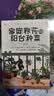品味生活·家庭养花与阳台种菜 新手农业种植辣椒番茄草莓有机蔬菜家庭养花种花书籍 实拍图