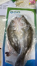 仙泉湖三去白蕉海鲈鱼1斤/条净膛冷冻刺少肉厚珠海特产500g生鲜年货食材 实拍图