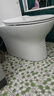 九牧（JOMOO）11173-2-1/41KD-3大力神普通马桶家用虹吸抗菌节水坐便器400坑距 实拍图