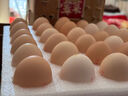京鲜生柴鸡蛋30枚 3斤 无抗生素 谷物喂养鲜鸡蛋 源头直发 实拍图