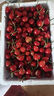 田拾记金钻级 车厘子【JD-多地次日达】国产大连美早大樱桃新鲜水果送礼 5斤(净重) 礼箱装【蕞划算】 巨无霸 3J级 30-32mm丨超大超甜 实拍图