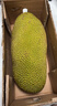 京鲜生海南菠萝蜜整个16-19斤 净重16斤生鲜水果 源头直发 实拍图