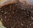 美乐棵  通用营养土养花花肥种植土花土种菜土肥料盆栽绿植专用土壤40L 实拍图
