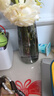 极度空间 玻璃花瓶插花瓶绿植物水培养生态瓶养花家居装饰摆件 实拍图