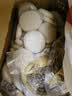 豪艺（HOOYE）真空袋食品级保鲜包装抽真空封口袋网纹塑封25*500cm1卷HY11925 实拍图