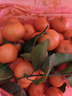 京觅四会砂糖橘新鲜水果柑橘沙糖桔 净4.5斤 单果45-55mm源头直发包邮 实拍图