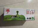 蒙牛全脂纯牛奶200ml*24盒 家庭年货囤货 电商定制 实拍图