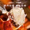 【活蟹】阳澄联合鲜活大闸蟹现货全母蟹3.0-3.3两 10只去绳足重礼盒 实拍图