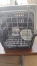 腆宠宠物航空箱小号 猫咪航空箱猫狗 猫包猫笼外出车载猫箱狗狗托运 实拍图