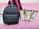 纽芝兰（NUCELLE）双肩包女2026新款轻奢时尚背包大学生书包飞马女包新年生日礼物 实拍图