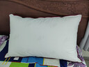 水星家纺枕头枕芯酒店枕头护颈枕头芯家用一对纯棉抗菌可水洗中枕48x74cm 实拍图