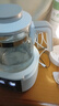 贝因美（Beingmate）恒温水壶 恒温壶婴儿调奶器温热暖奶器家用冲奶粉电热烧水养生壶 实拍图