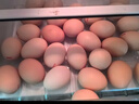 京鲜生富硒鲜鸡蛋30枚 3斤 源头直发 实拍图
